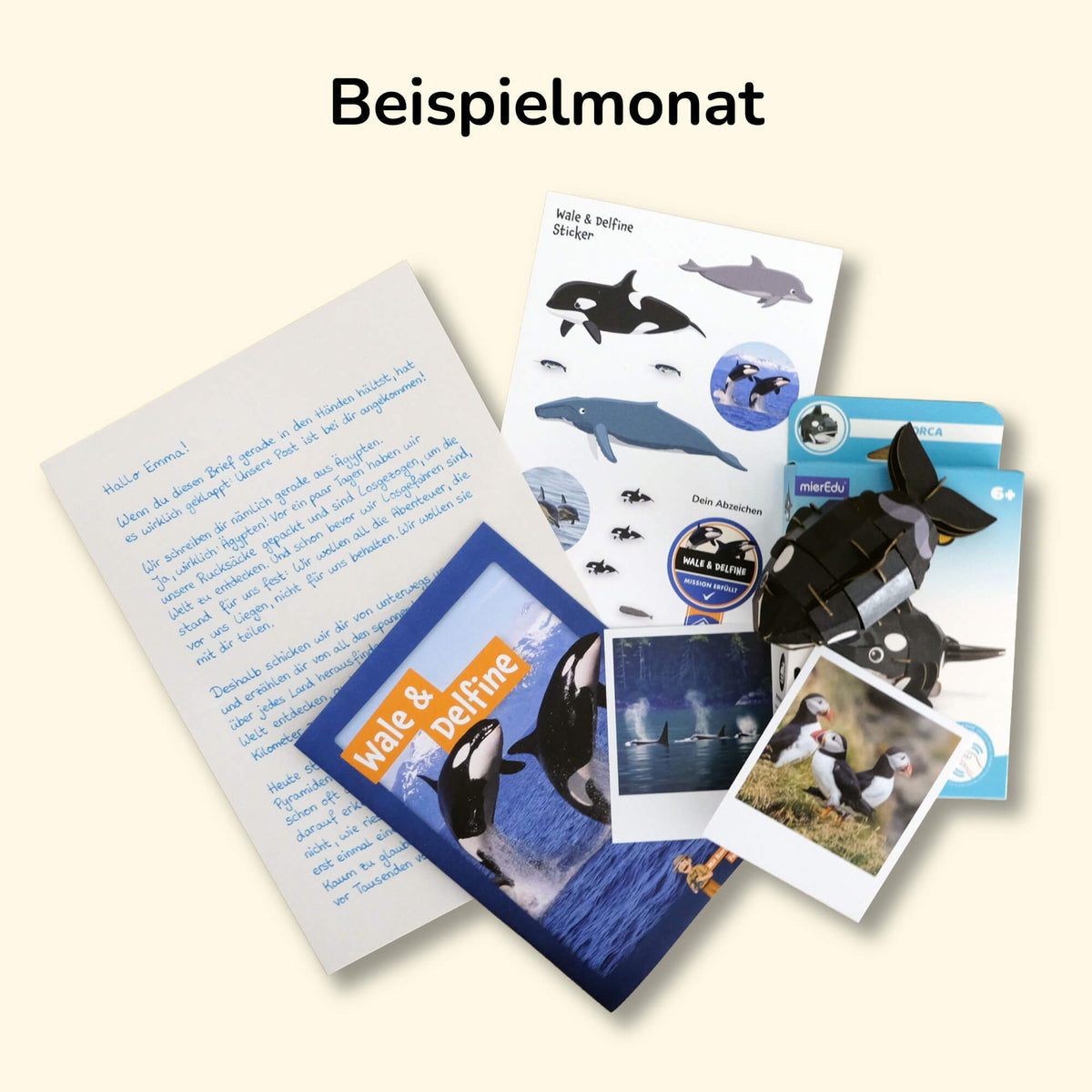 Wildtier Abenteuer